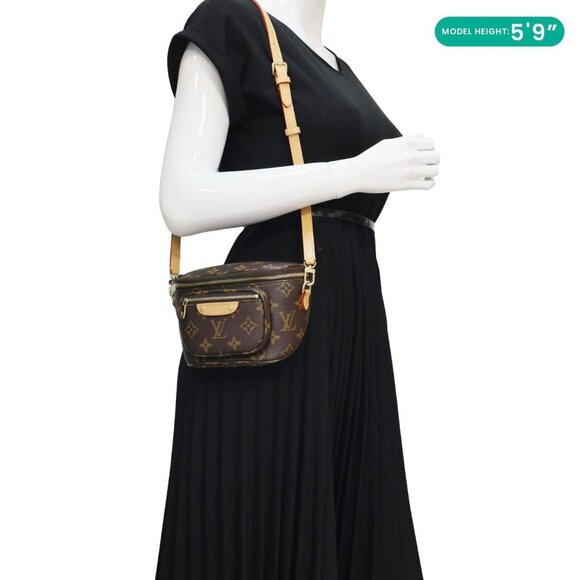 Louis Vuitton  Mini Monogram Canvas Bumbag Brown - Picture 2 of 14
